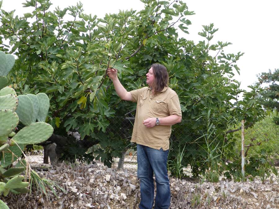 neil getting some figgs