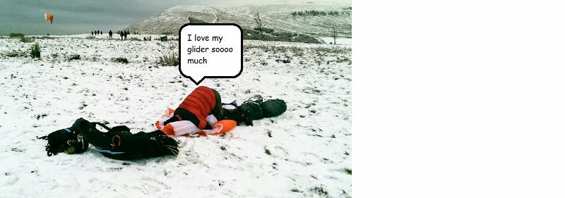 pgModelRidge (800x281).jpg