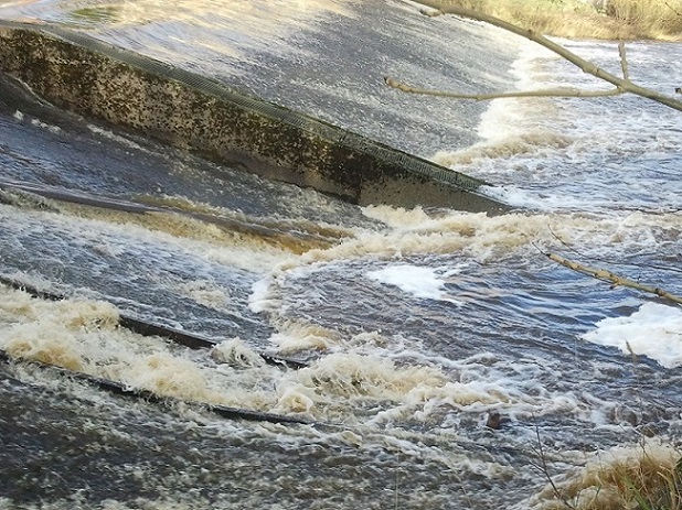 Cold front & Morpeth Otter 004 (2).jpg