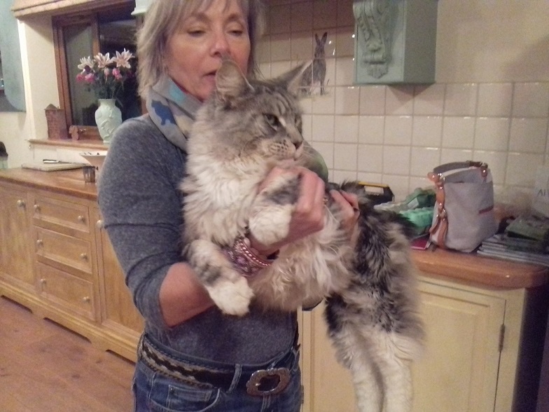 Joe Xfactor & Titers 031 (2).jpg